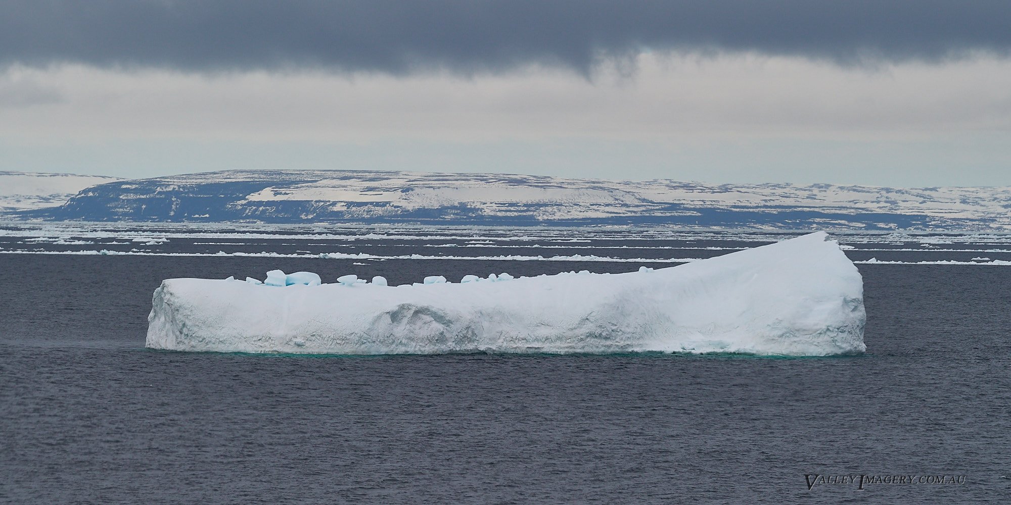 Iceberg Labrador